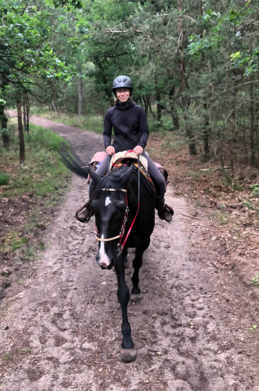 Team Van Troje - Wandelpaard
