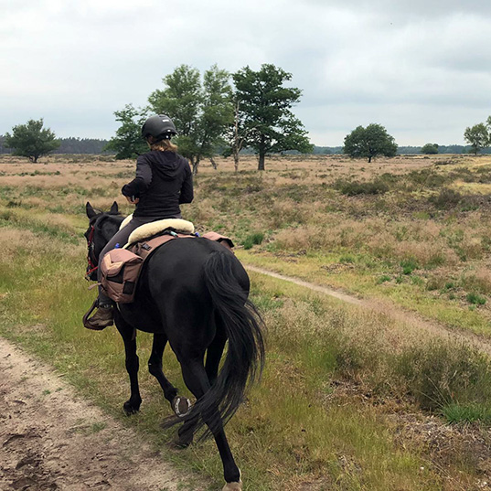 Team Van Troje - Blog