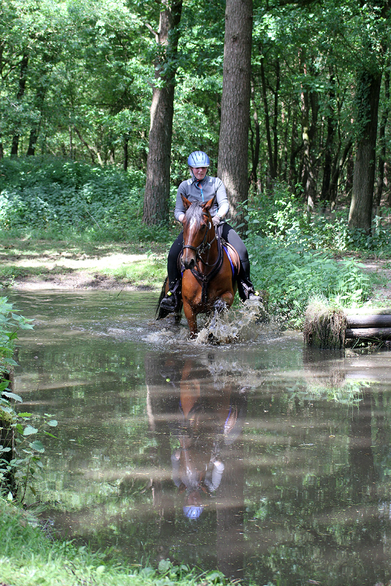 Team Van Troje - Draver Endurance TREC