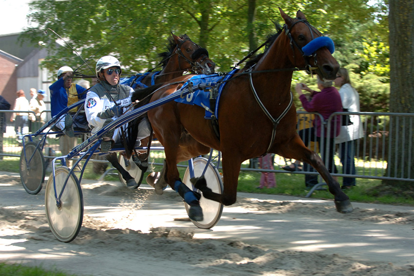 Team Van Troje - Draver Koerspaard