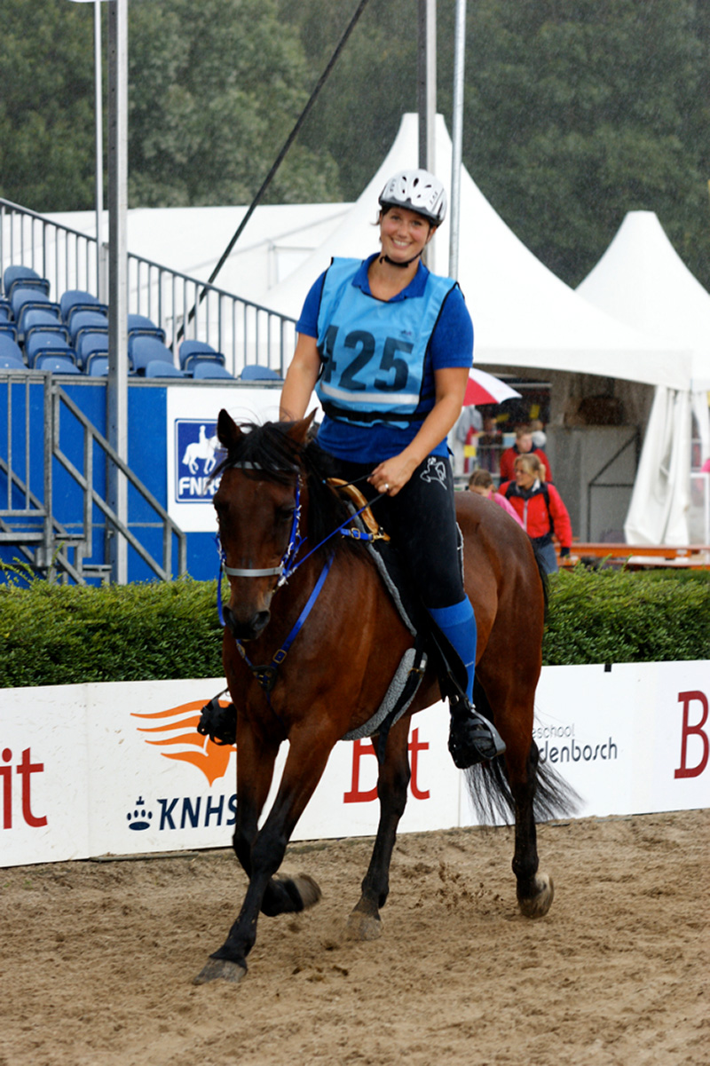 Team Van Troje - Draver recreatiepaard