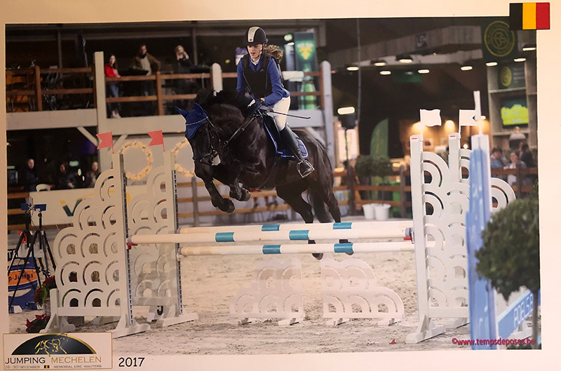 Team Van Troje - Draver springen springpaard